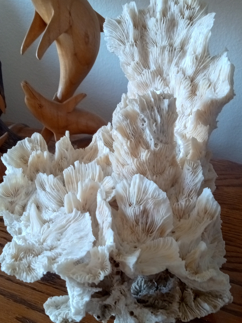 White Coral Sculptural Accent for Coastal Decor